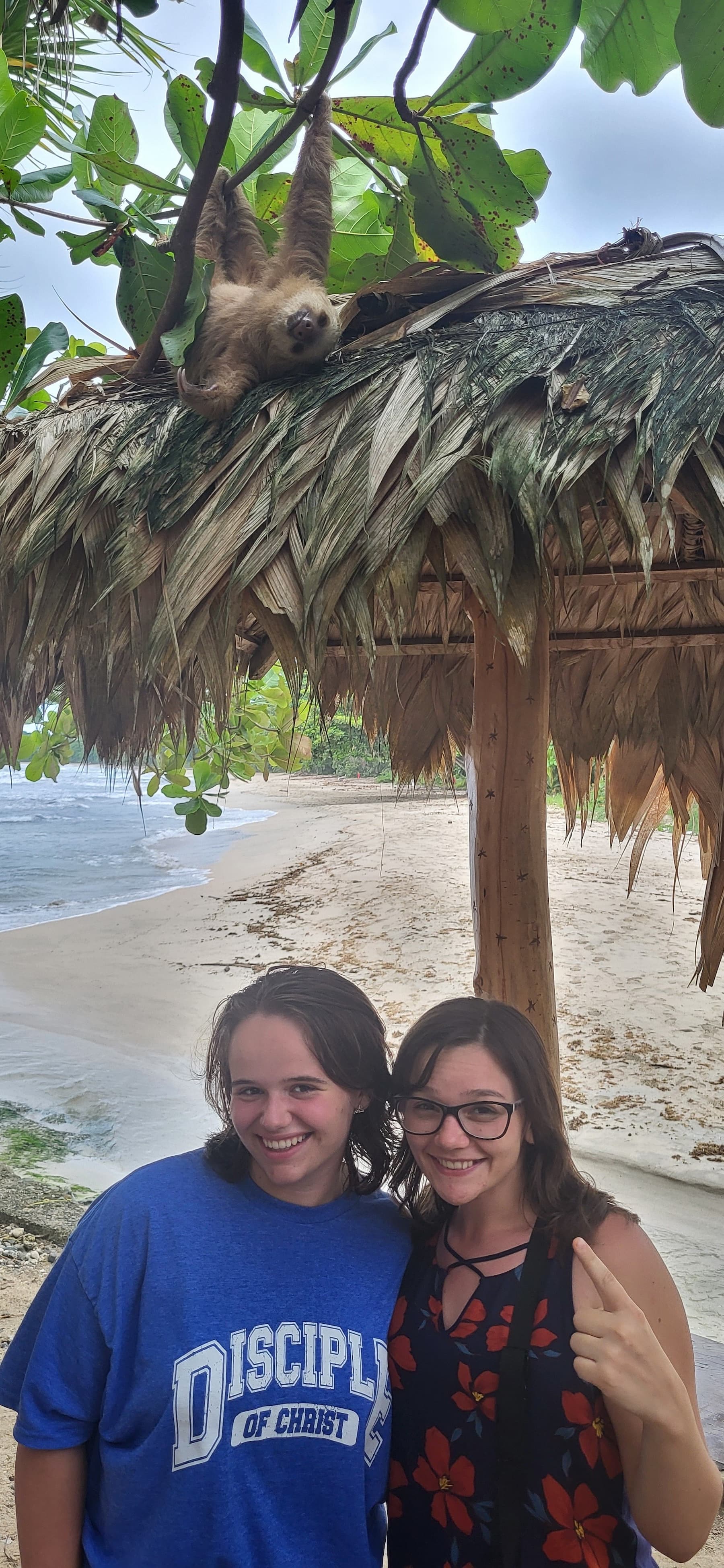 2 students pointing a sloth on top of a cabana
