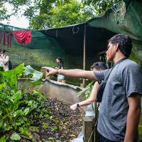 Person pointing at a plant in a tent