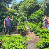 group listening to a person speak next to greenery